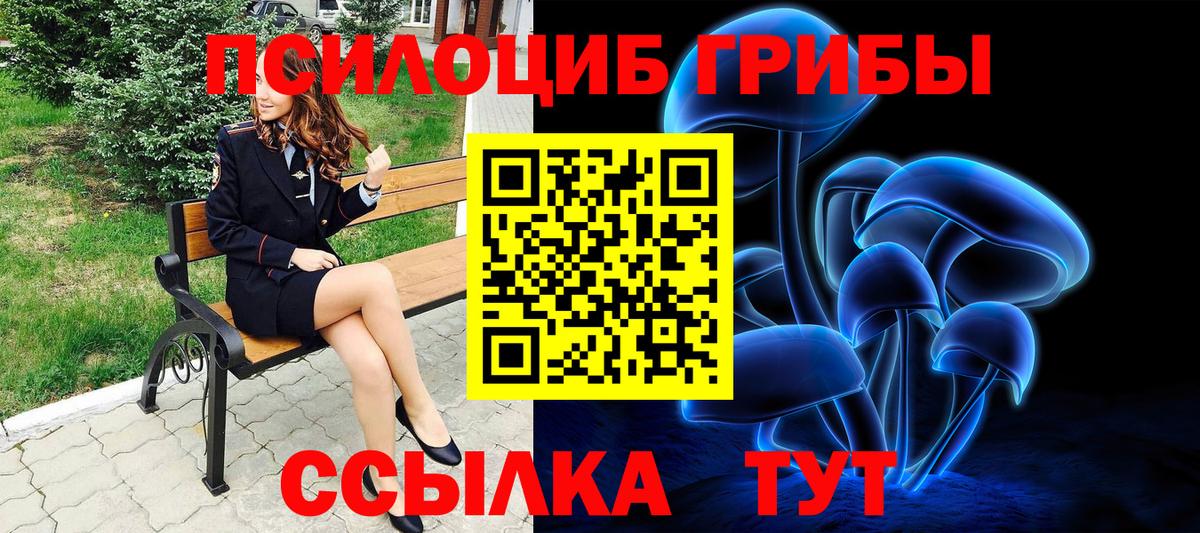Псилоцибиновые грибы прущие грибы  Вход с VPN  Владивосток  наркошоп  Псилоцибиновые грибы Magic Shrooms 