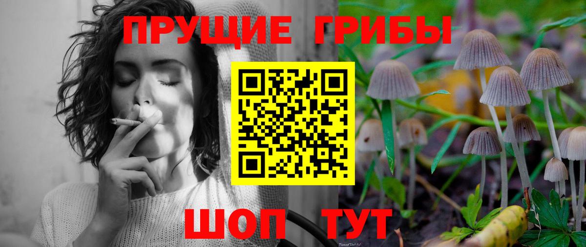 Галлюциногенные грибы Magic Shrooms Владивосток